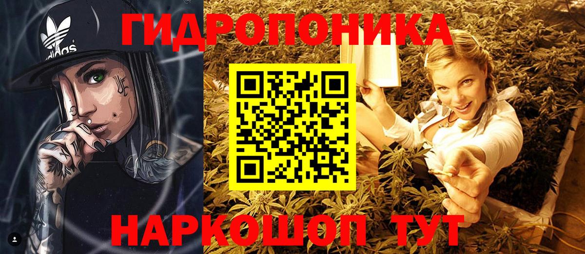 Марихуана MAZAR  Бошки Шишки AK-47  Бошки марихуана конопля  Вход с VPN  Новошахтинск 